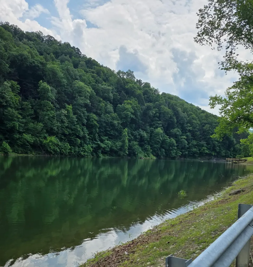 19 Harlan Lane Buckhorn KY 41721