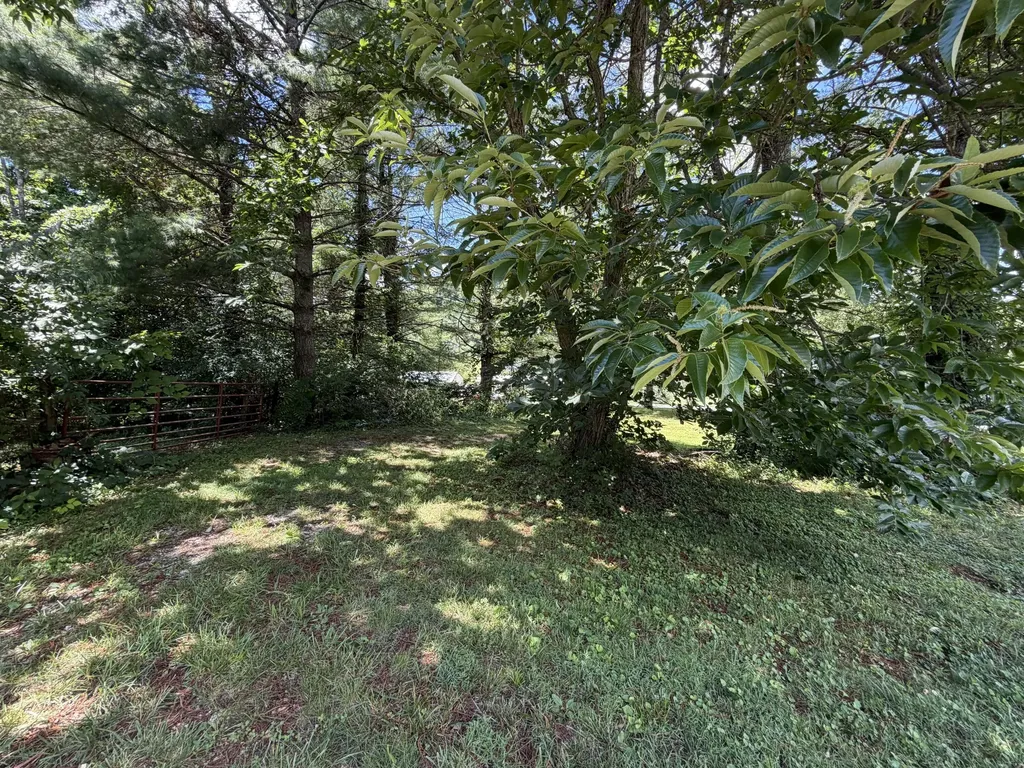 303 Freedom School Road Mt Vernon KY 40456