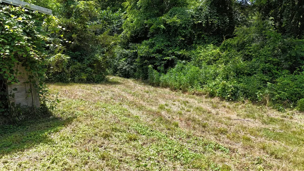 303 Freedom School Road Mt Vernon KY 40456