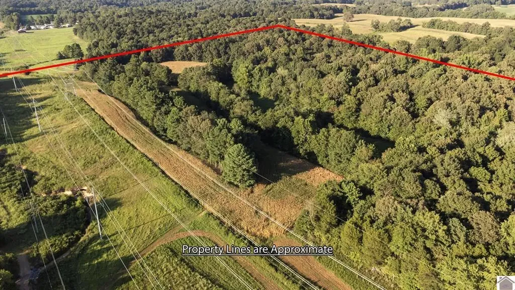 00 Briensburg Tatumsville Road Benton KY 42025