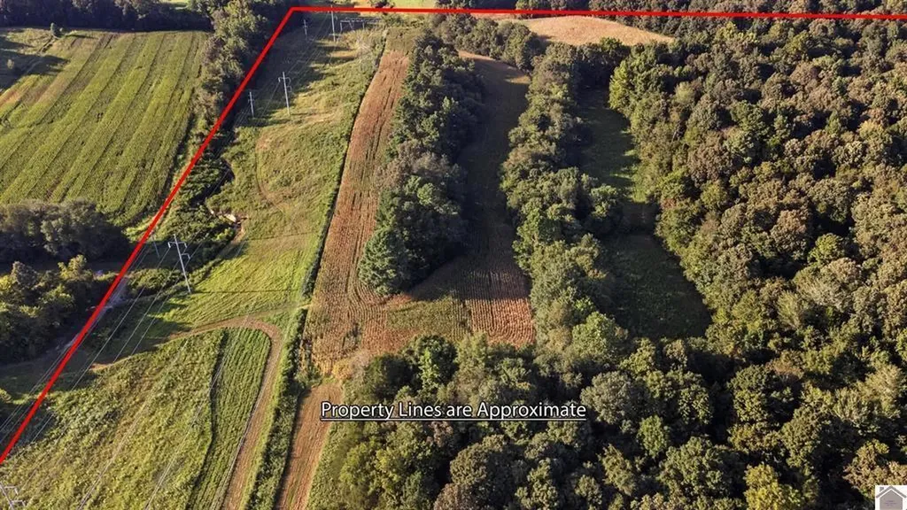 00 Briensburg Tatumsville Road Benton KY 42025