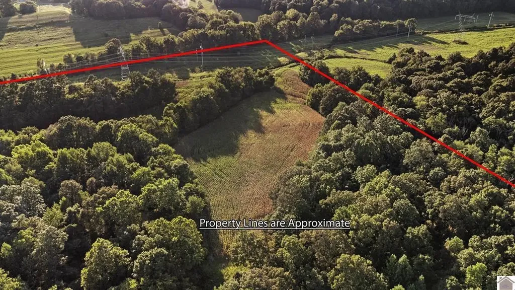 00 Briensburg Tatumsville Road Benton KY 42025
