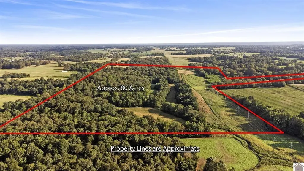 00 Briensburg Tatumsville Road Benton KY 42025