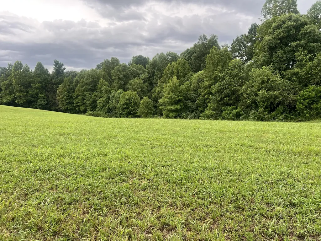 23 Hemlock Way Morehead KY 40351