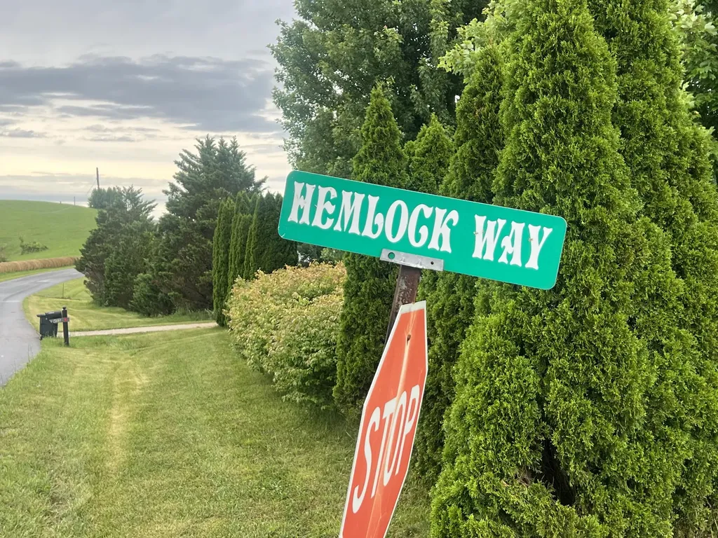23 Hemlock Way Morehead KY 40351