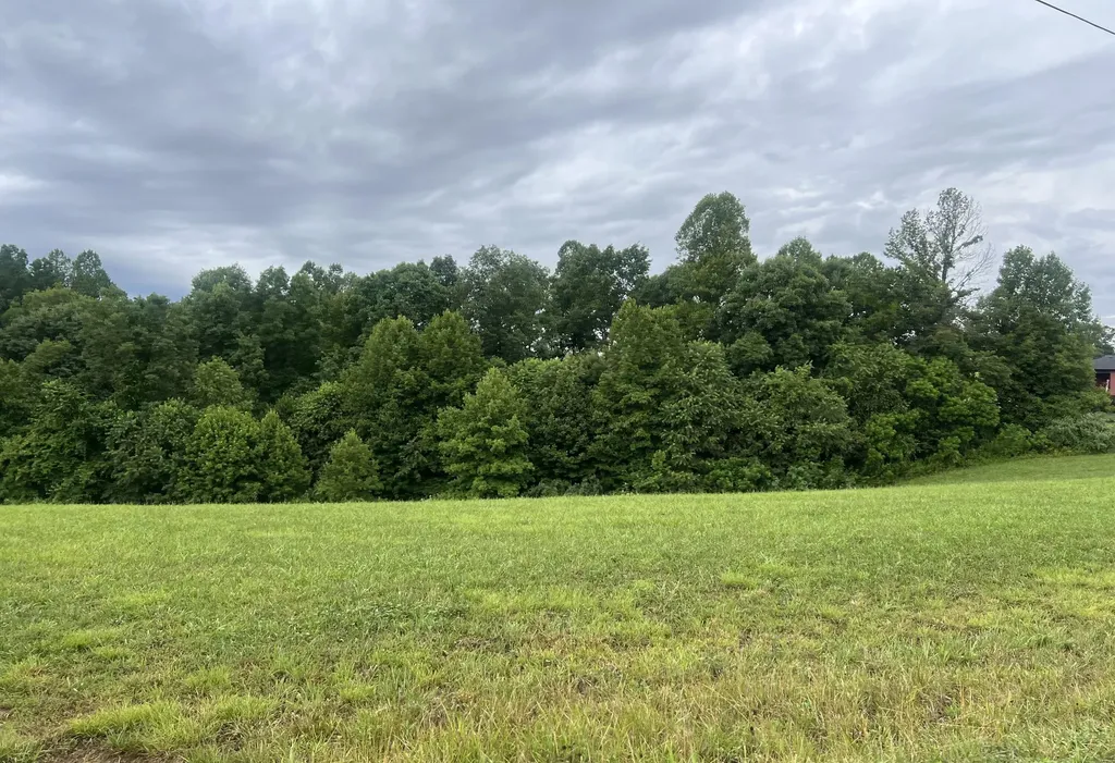 23 Hemlock Way Morehead KY 40351