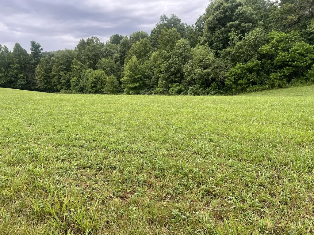 23 Hemlock Way Morehead KY 40351