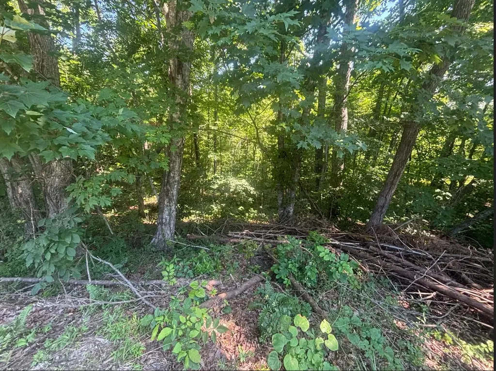 9999 Roberts Bend Road Burnside KY 42519