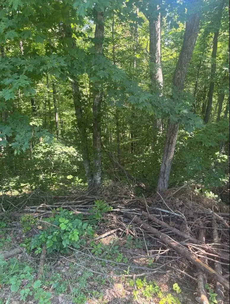 9999 Roberts Bend Road Burnside KY 42519