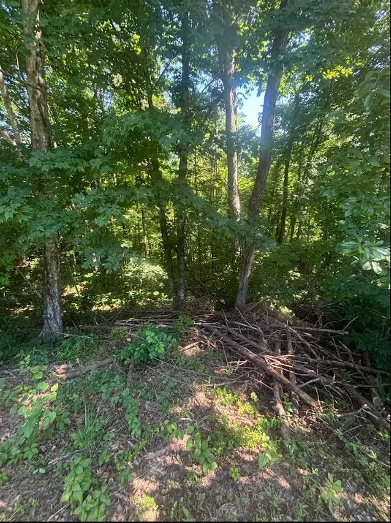 9999 Roberts Bend Road Burnside KY 42519