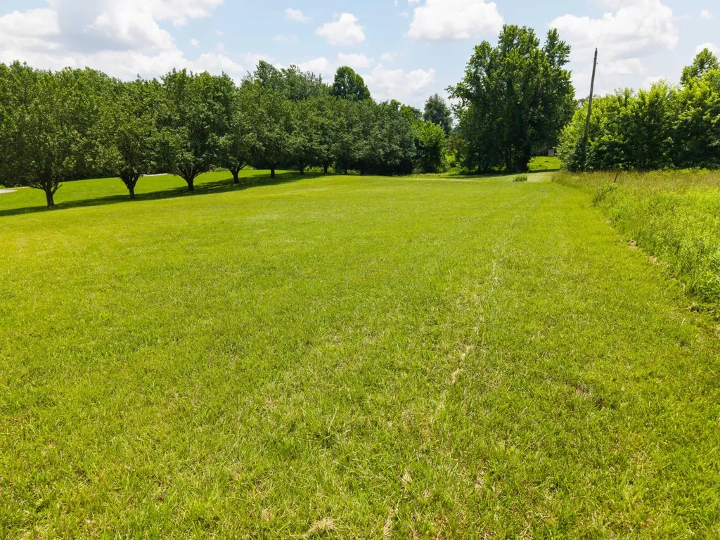 80 William Court Nancy KY 42544