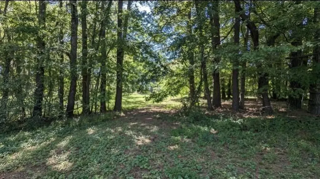 237 Hugh Hunter Road Oak Grove KY 42262