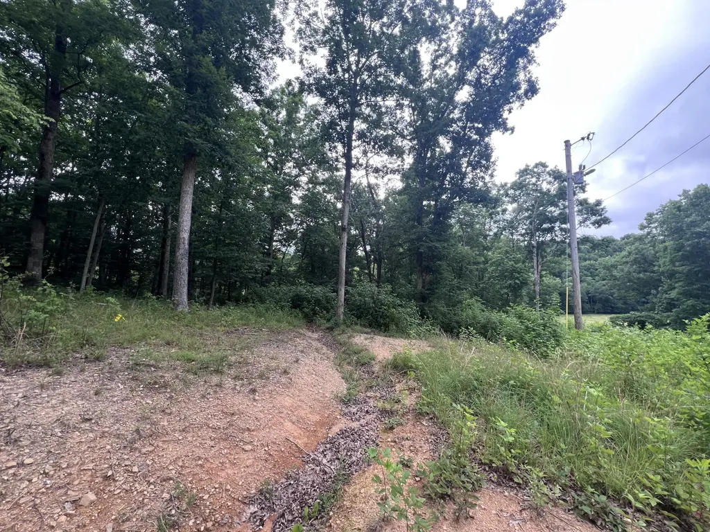 971 Ky-577 Annville KY 40402