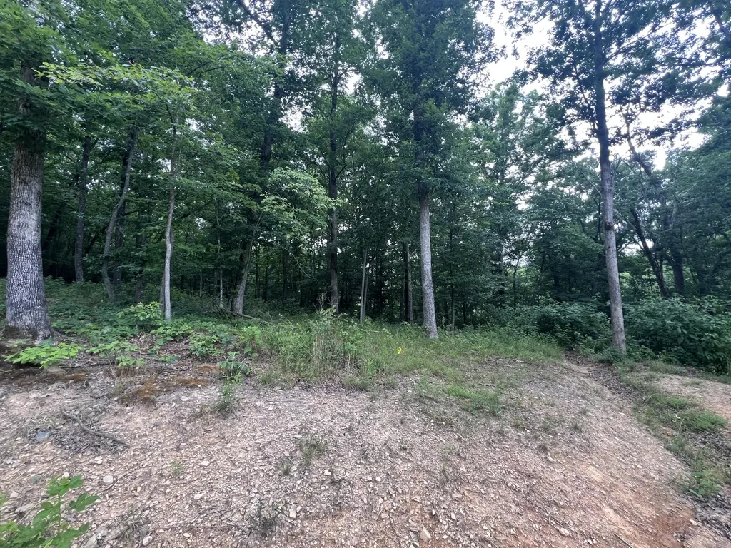 971 Ky-577 Annville KY 40402