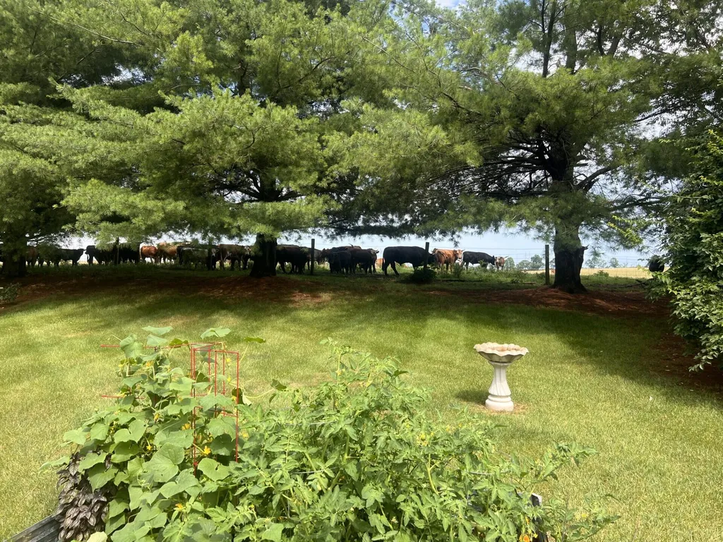 130 Carriage Lane Midway KY 40347