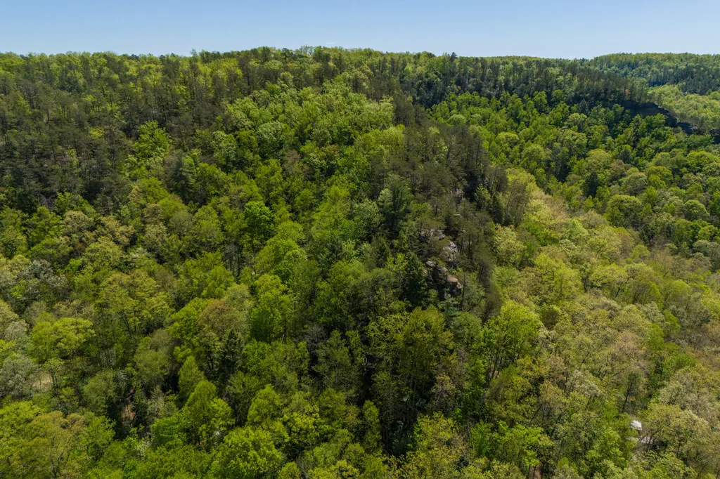100 Laurel Lane Stanton KY 40380