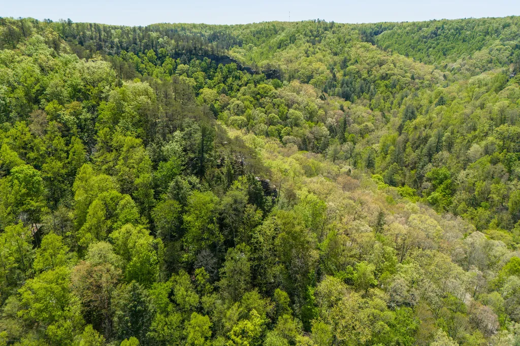100 Laurel Lane Stanton KY 40380