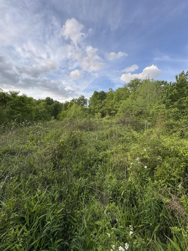 001 Fence Road London KY 40741