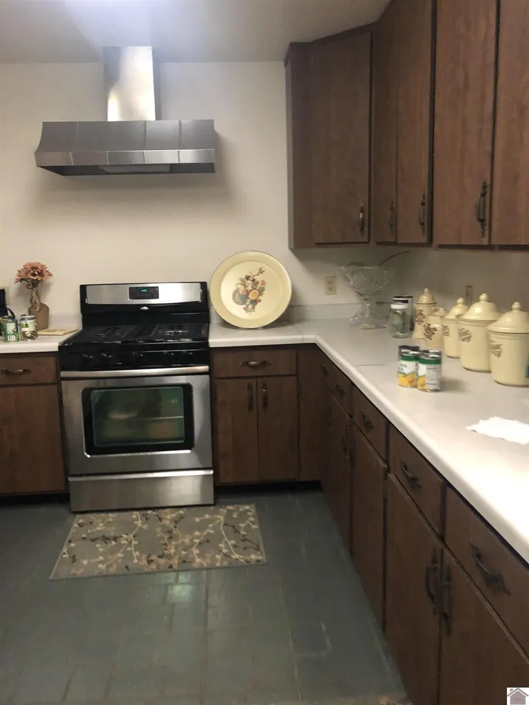 1326 Wilson Drive Mayfield KY 42066
