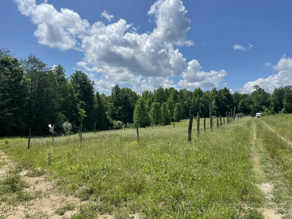 1292 White Oak Road Williamsburg KY 40769