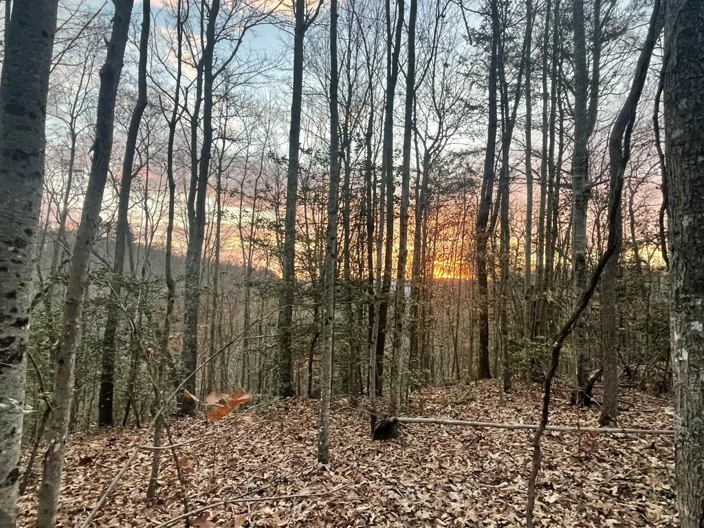 1292 White Oak Road Williamsburg KY 40769