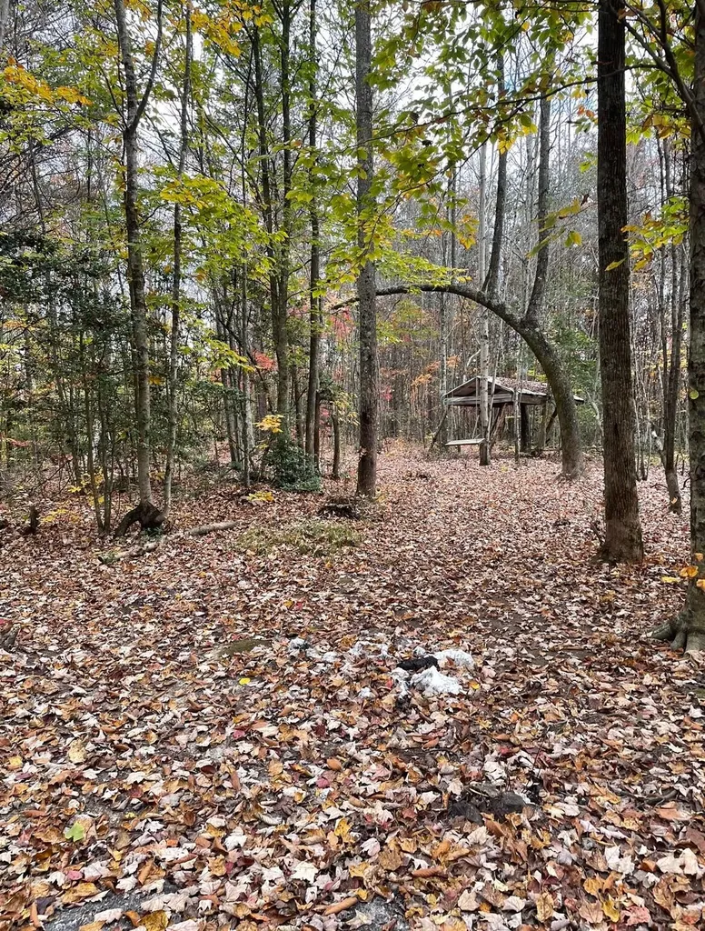 1292 White Oak Road Williamsburg KY 40769