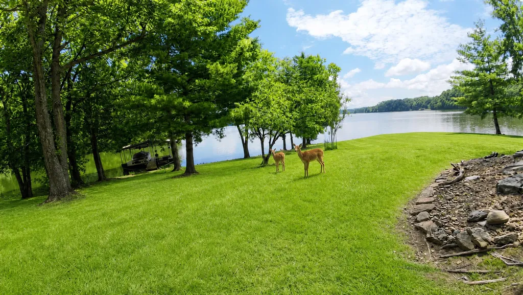897 Summit Point Cadiz KY 42211