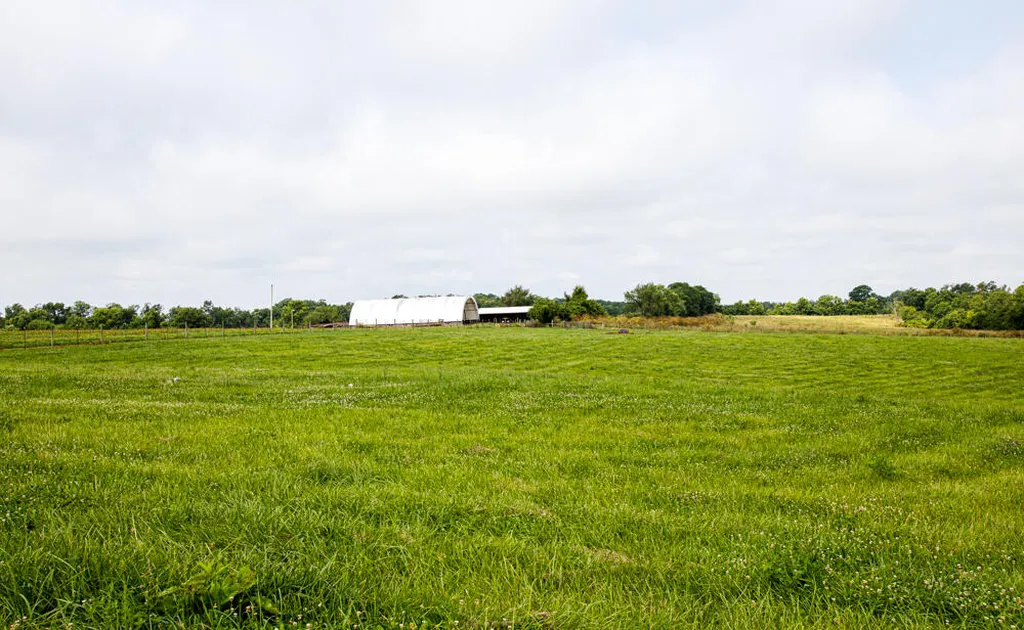 327 Collins Road Paris KY 40361