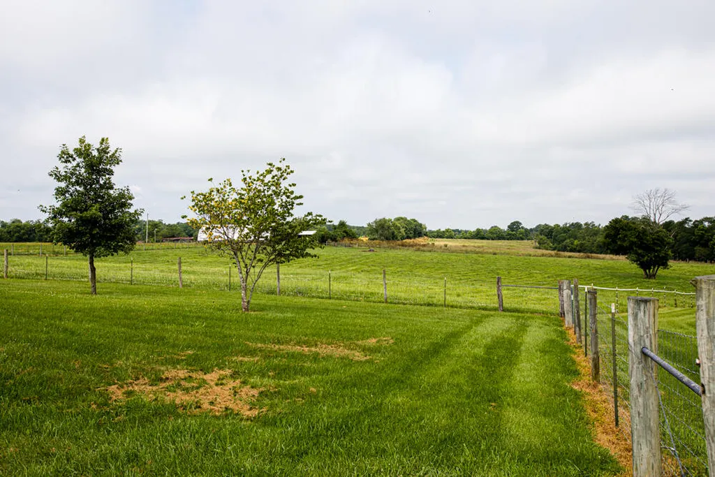 327 Collins Road Paris KY 40361