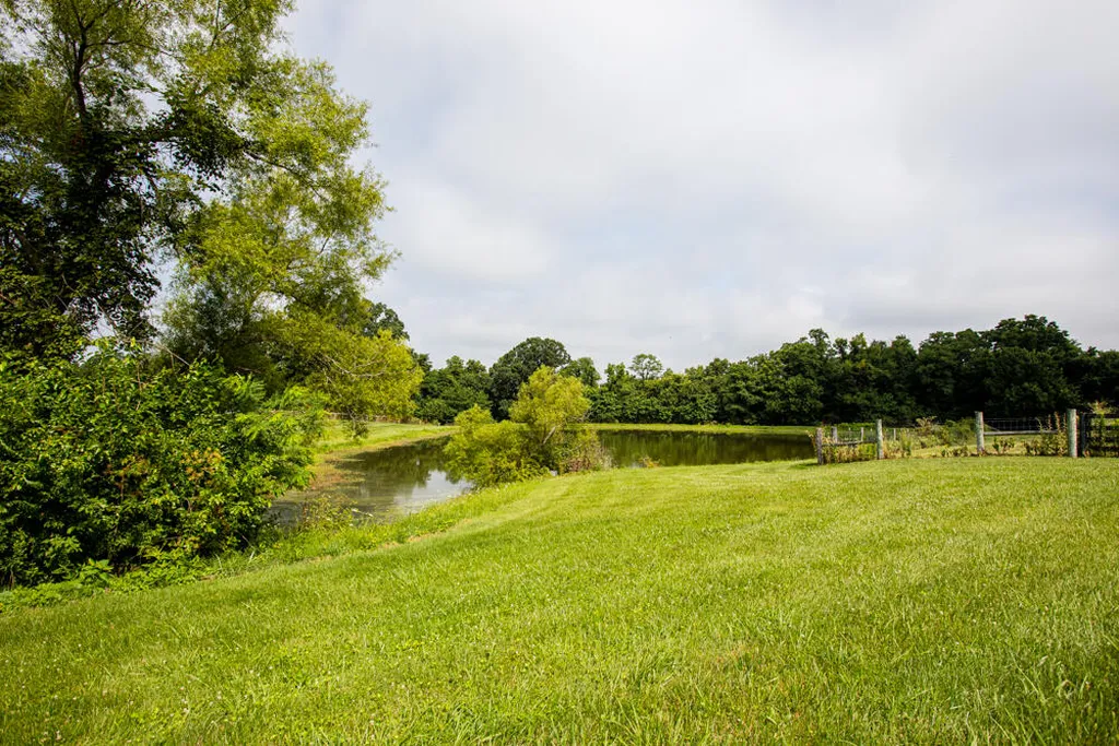 327 Collins Road Paris KY 40361