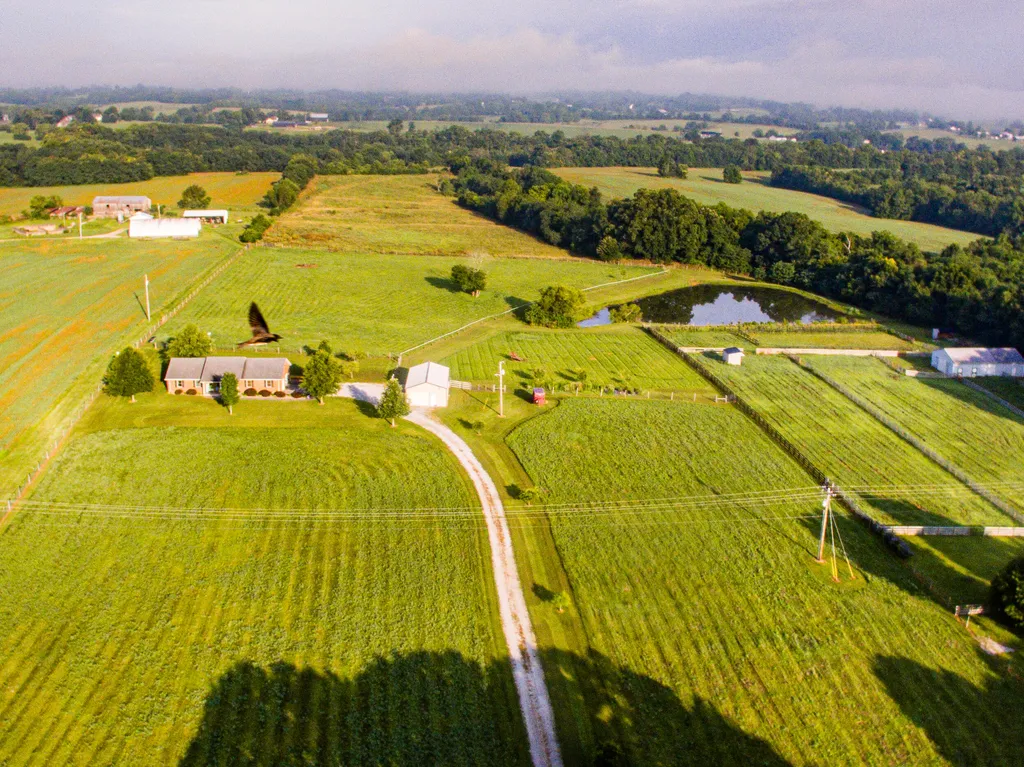 327 Collins Road Paris KY 40361