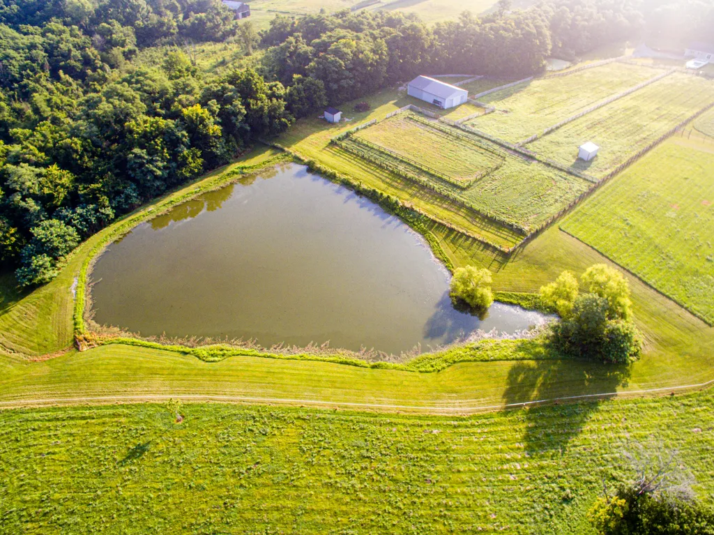 327 Collins Road Paris KY 40361