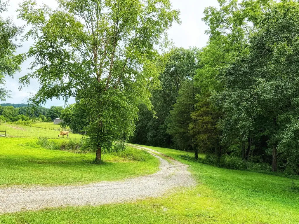 940 Lamkin Lane Raywick KY 40060