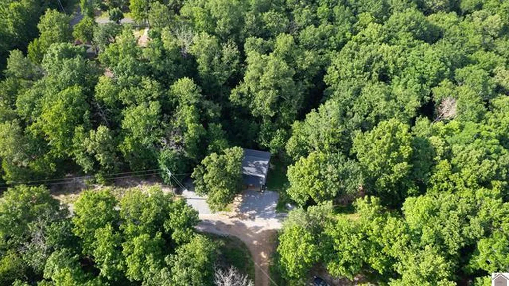 43 Barnacle Drive New Concord KY 42076