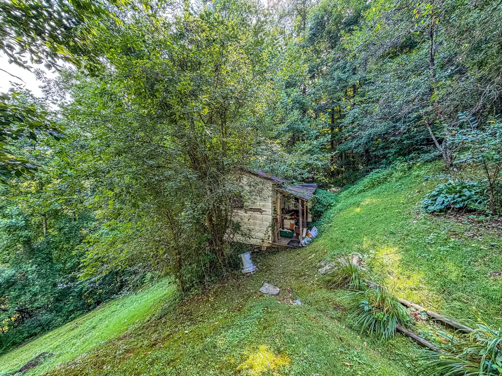 299 George Neil Hill Left Road Pineville KY 40977