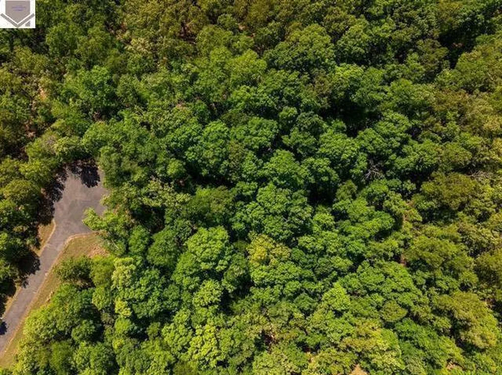 Lot 95 Pelican Lane Murray KY 42071