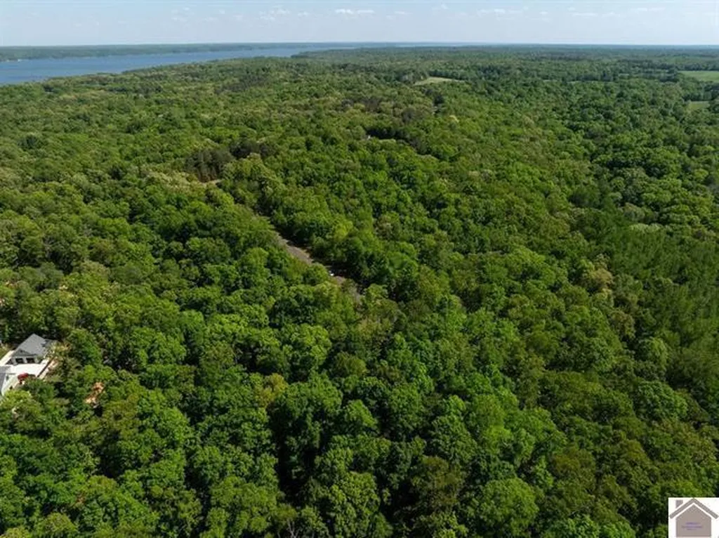 Lot 95 Pelican Lane Murray KY 42071