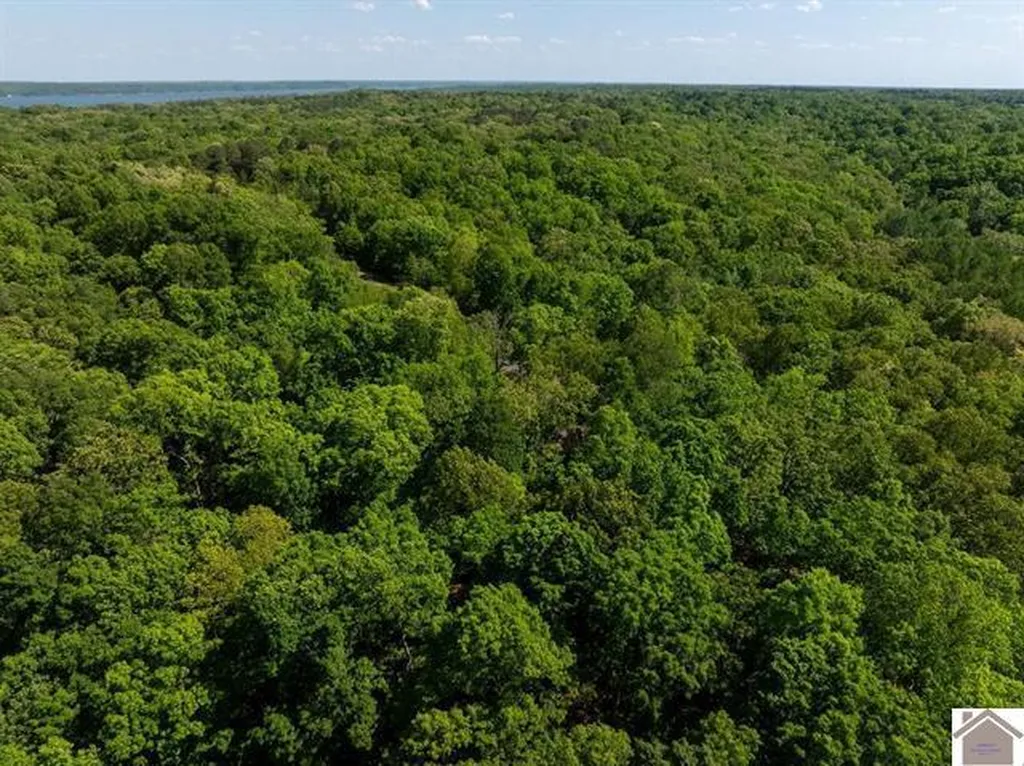 Lot 95 Pelican Lane Murray KY 42071