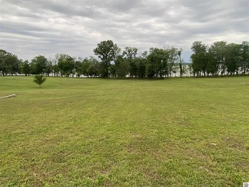 335 Destiny Lane Cadiz KY 42211