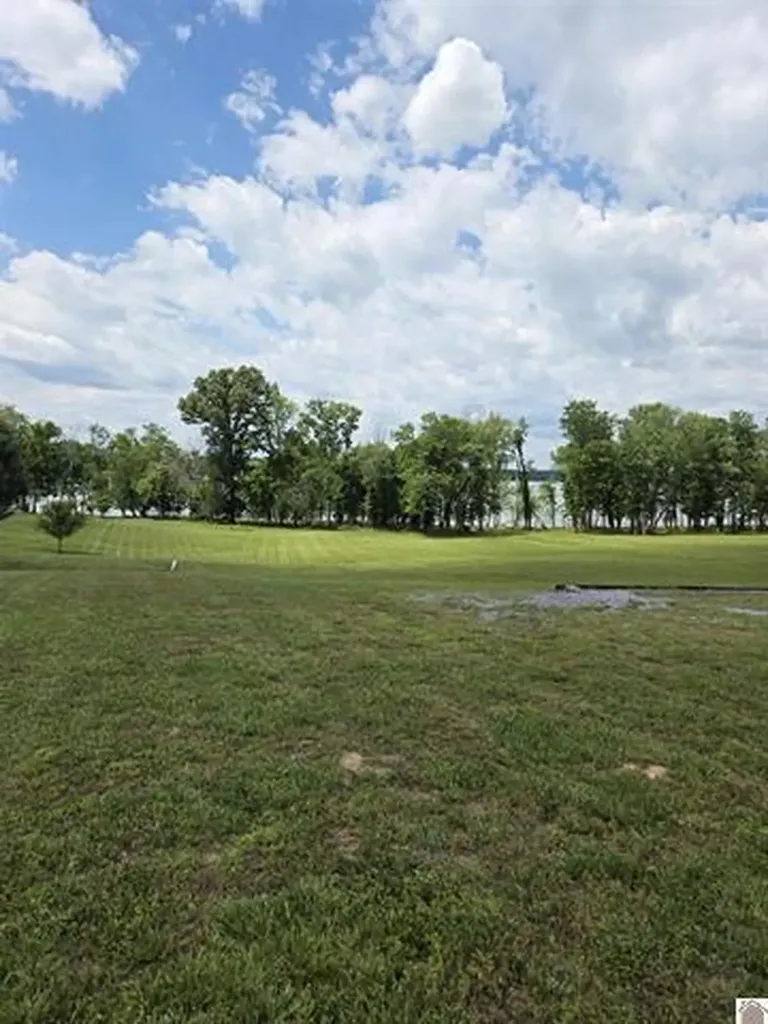 335 Destiny Lane Cadiz KY 42211