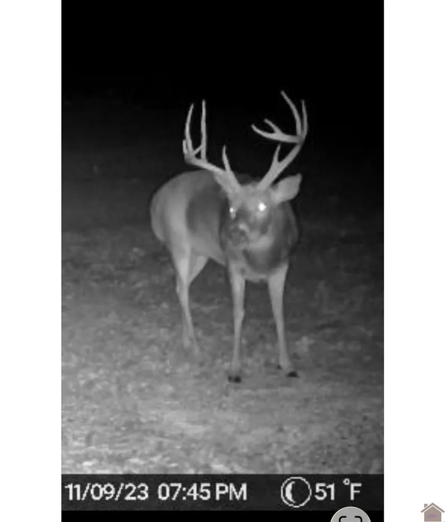 400 Jeff Clements Marion KY 42064