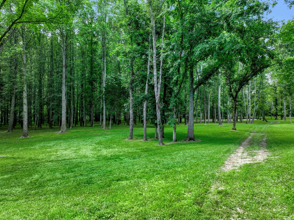 231 Fintville Road Versailles KY 40383