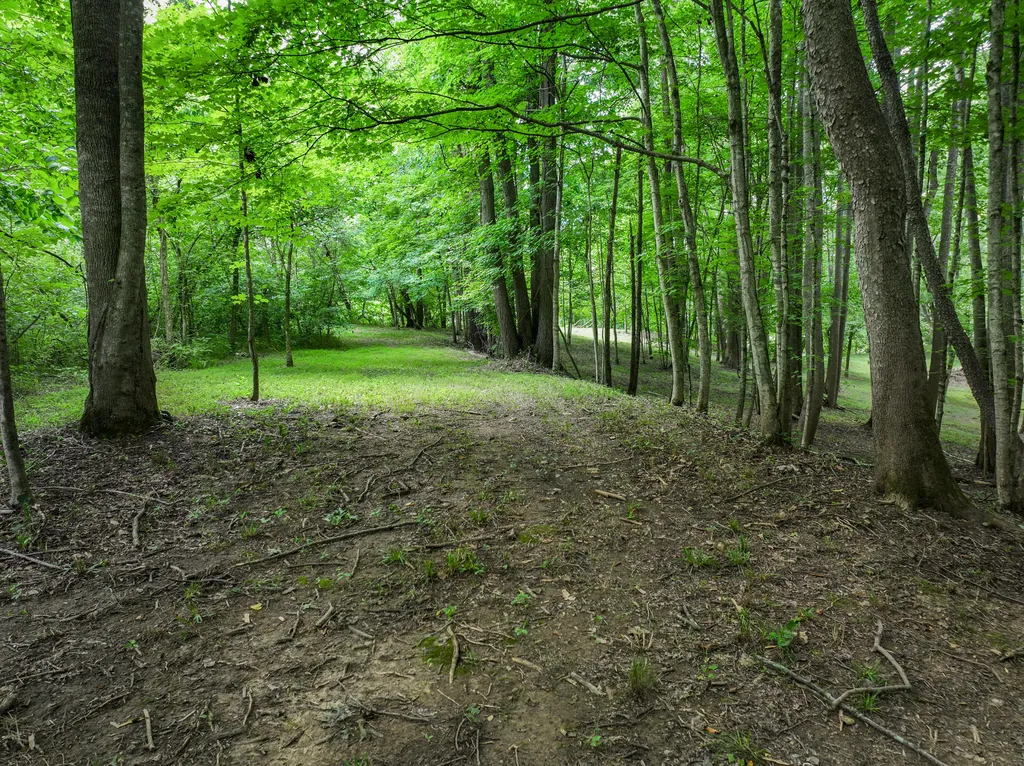 231 Fintville Road Versailles KY 40383