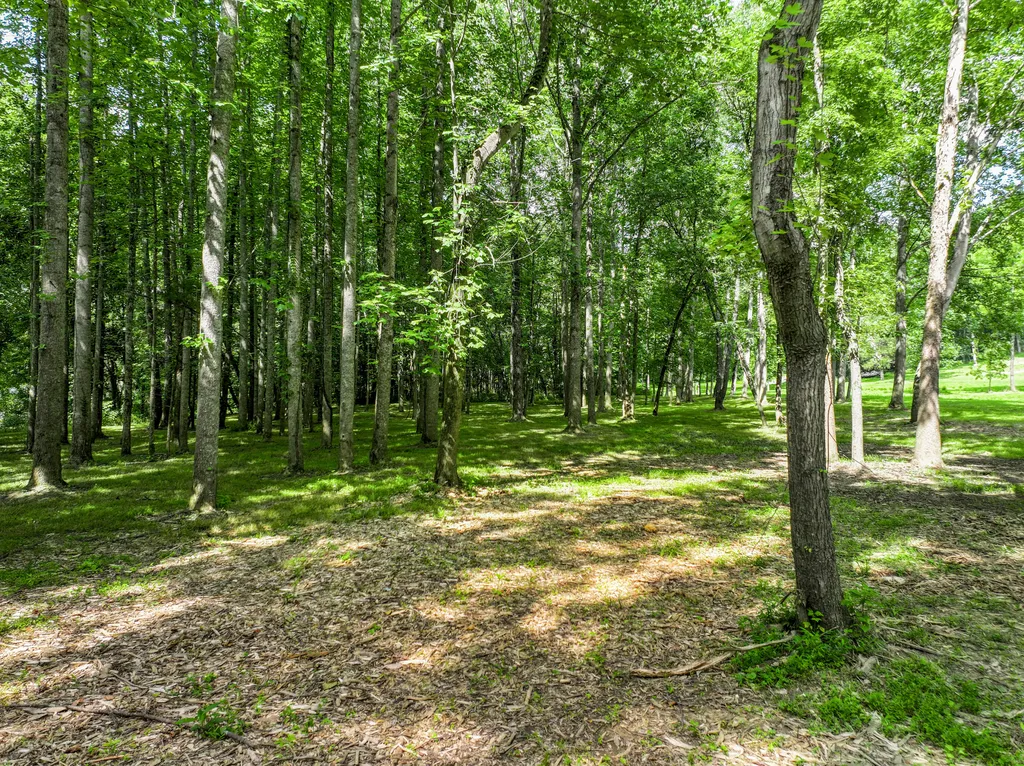 231 Fintville Road Versailles KY 40383