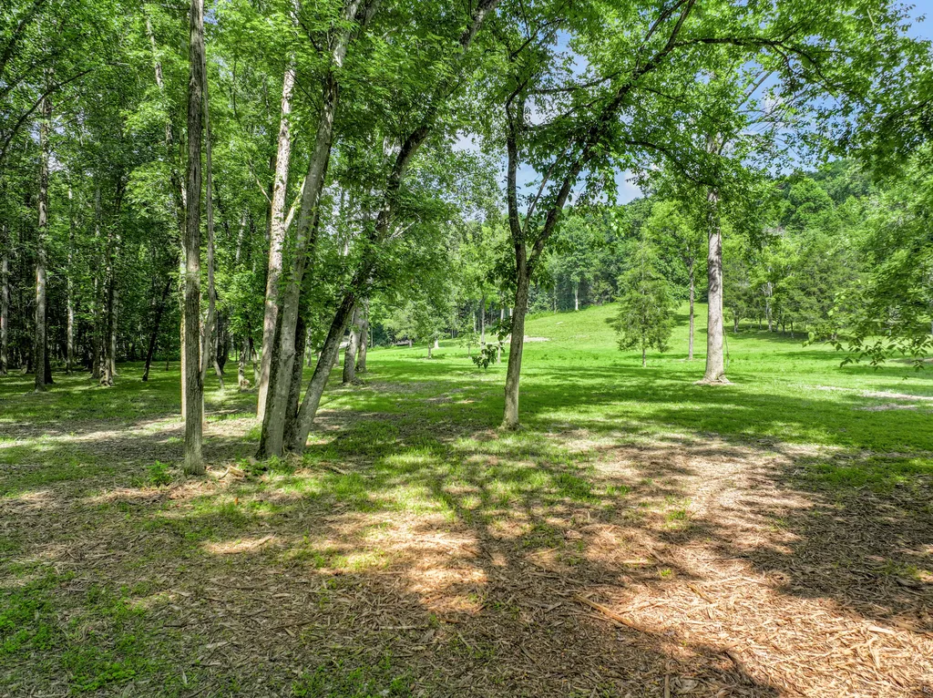 231 Fintville Road Versailles KY 40383