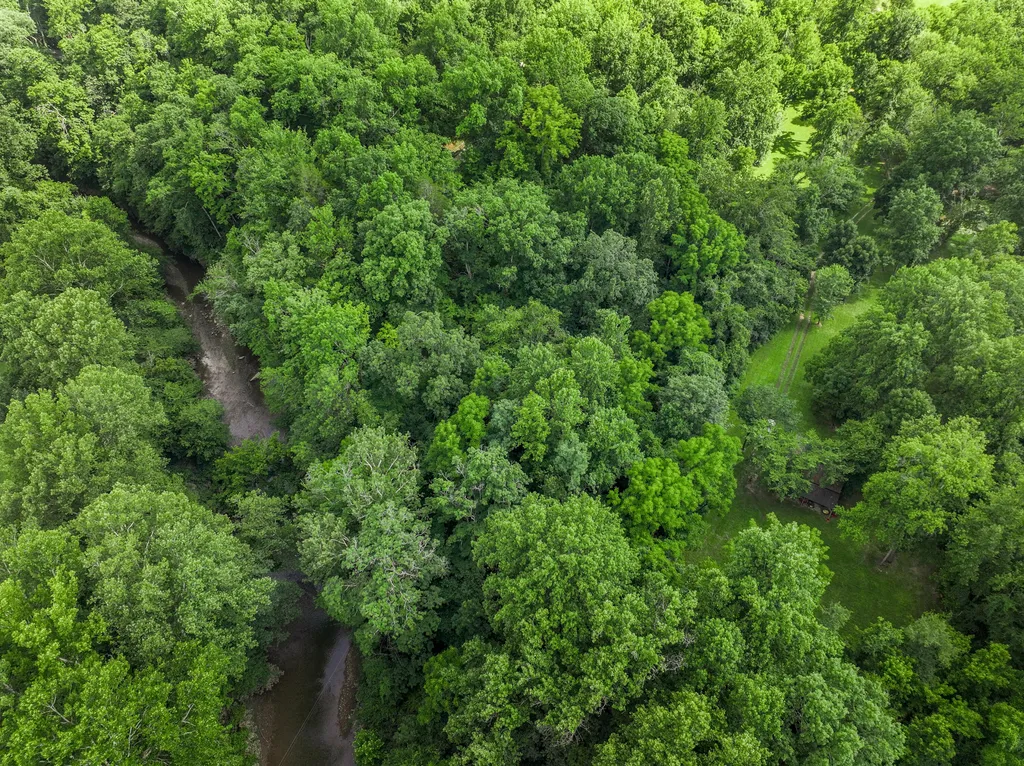 231 Fintville Road Versailles KY 40383