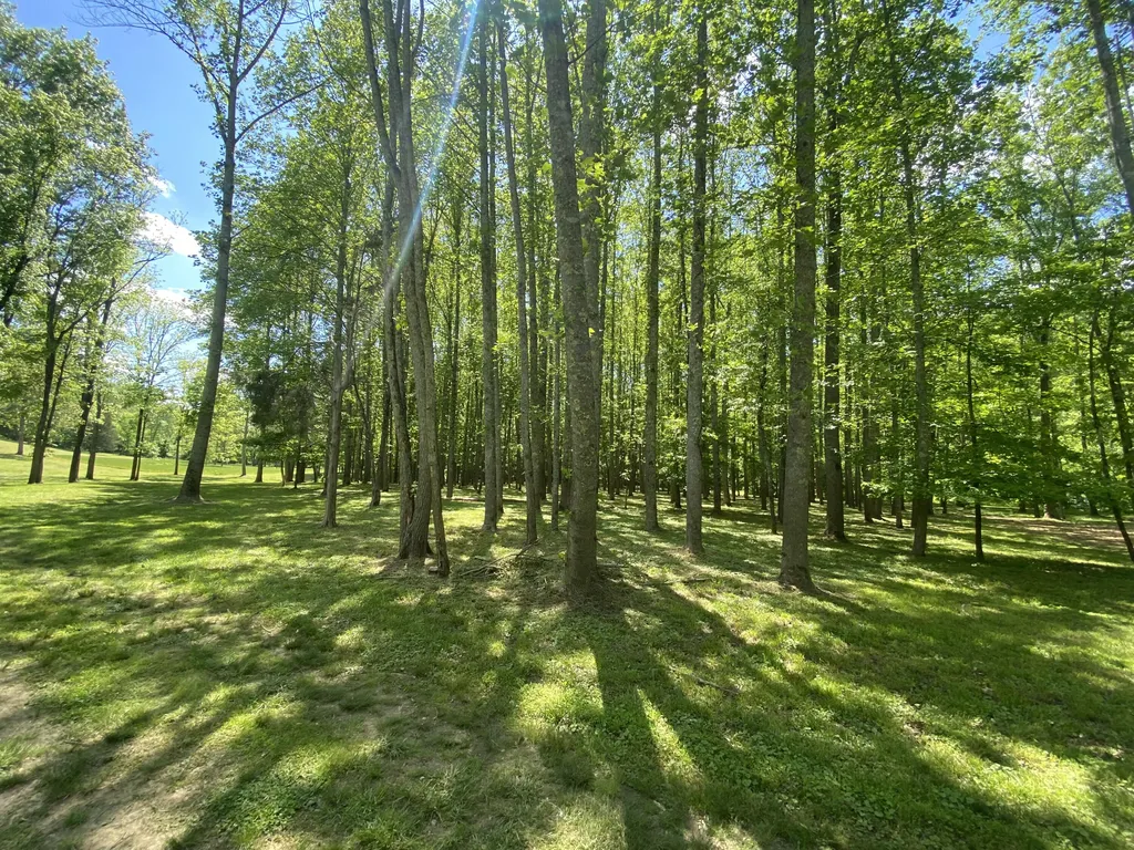 231 Fintville Road Versailles KY 40383