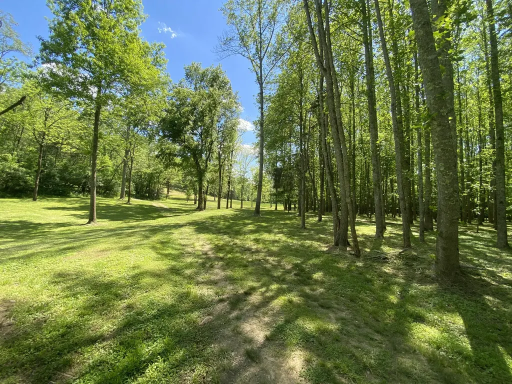 231 Fintville Road Versailles KY 40383
