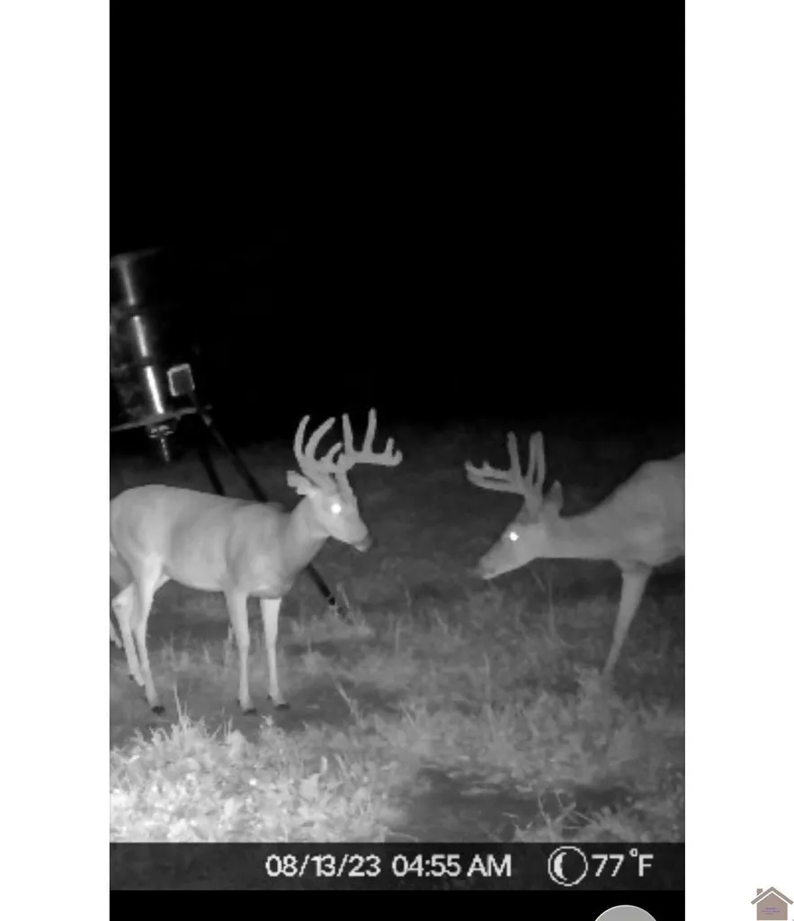 400 Jeff Clements Marion KY 42064