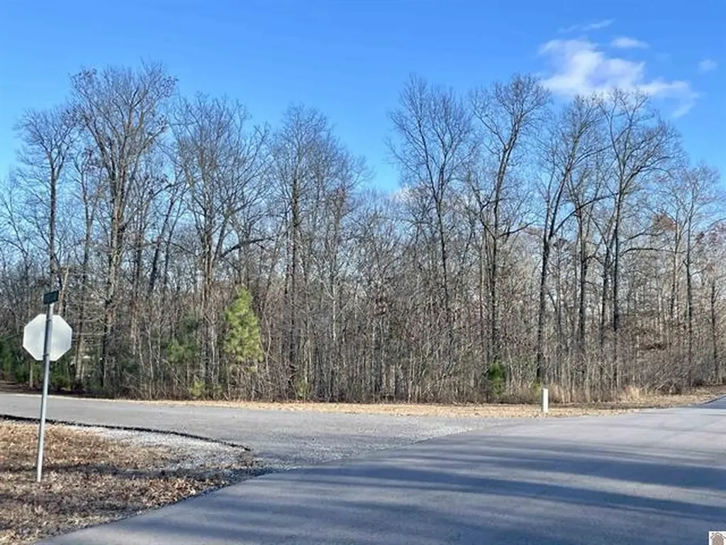 Lot 95 Deepwood Drive Murray KY 42071